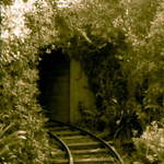 Tawhiti Museum #4