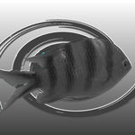 negative fish