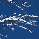 New fallen snow 
