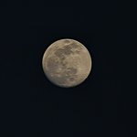 New Moon