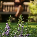 Nice Bokeh