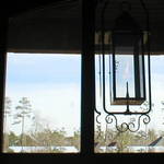 Peeking out the Window