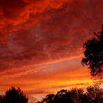 November Sunset
