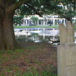 FDR Mall and temporary lake