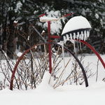 Old Time Bicycle