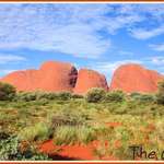 The Olgas