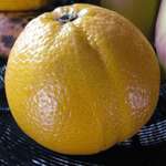 Fruity