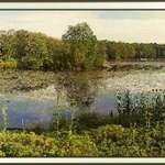 Timothy Lake panorama