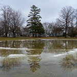 Park Skating Rink