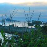 Pacific Ocean Scene