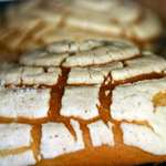 Concha - Shell Bread
