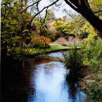 Christchurch Stream