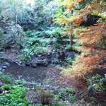 Across The Stream.