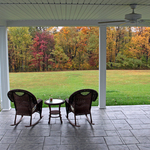 Patio View