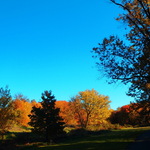 Autumn Landscape