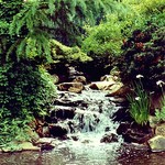 Peaceful Waters
