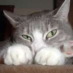 pondering evil thoughts