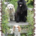 Meet the family