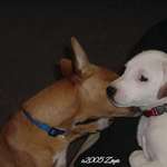 Making Friends