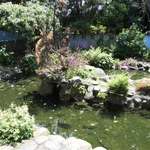 Pond