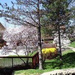 The pool in spring