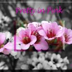 Pretty in Pink