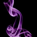 Purple Plume