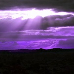 Purple Haze Afternoon