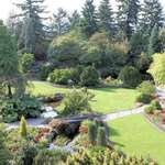 Queen Elizabeth Park 2, Vancouver, BC - so many different shades of green