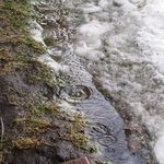 rain drops