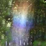 Rainbow Rays in Mist Spray