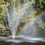 Catching a Rainbow & Fountain Star Design