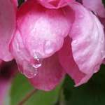 After the Rain