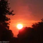 Red Sunrise