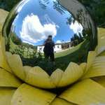 Self Reflection