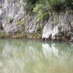 reflection of  the real