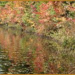 Reflections