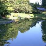 Reflections Blue at Nitobe Gardens