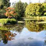 Reflections at the VanDusen Gardens