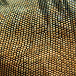 Iguana Beads