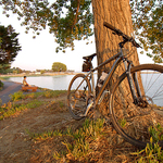 Rest Stop