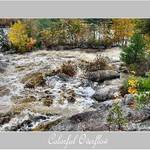 Colorful Overflow
