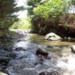Peaceful Scene