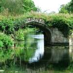 Tranquillity 