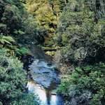 Peaceful River