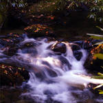 Shimna River