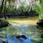 spring blends with  river