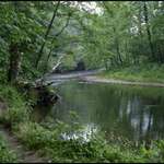 Ocunaluftee River