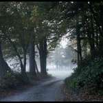Country Road