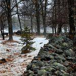 Rock Wall and a Bench